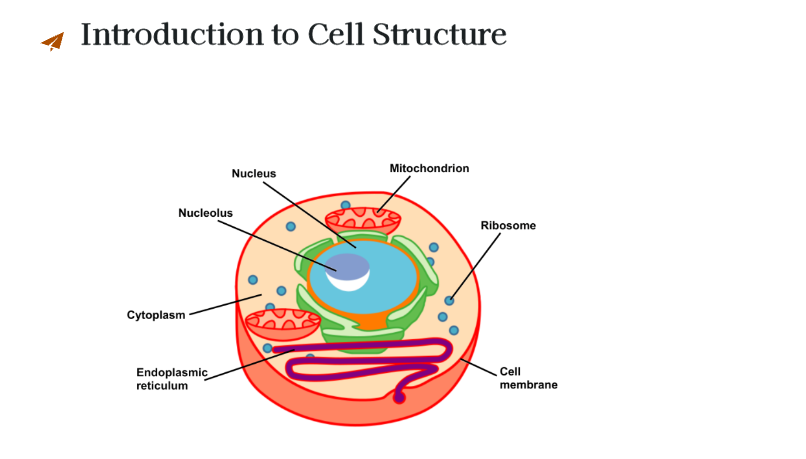 ai-ppt-generator-biology