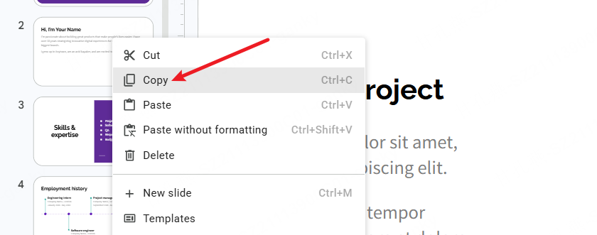 Copy and Paste Slide in Google Slide