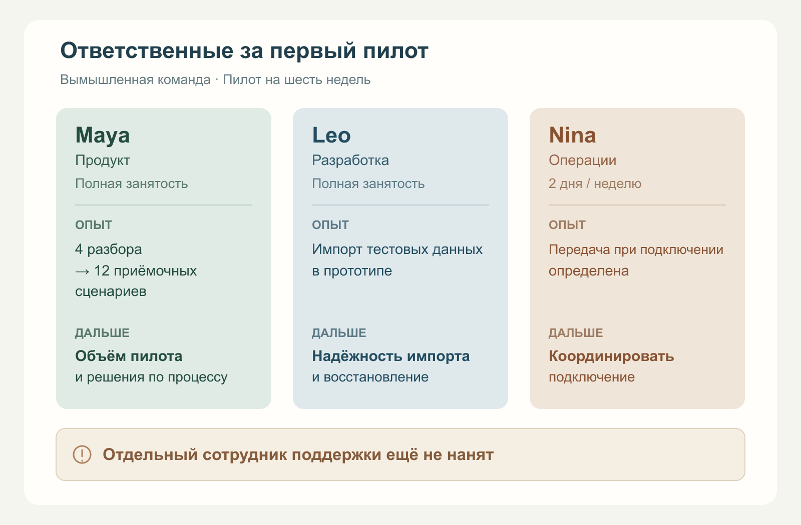 Слайд вымышленной команды закрепляет за Maya границы продукта, за Leo надёжность импорта, за Nina координацию подключения и отдельно отмечает отсутствие выделенного сотрудника поддержки.