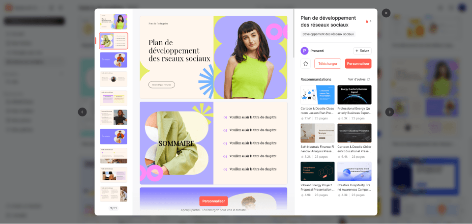 Plan de développement des réseaux sociaux